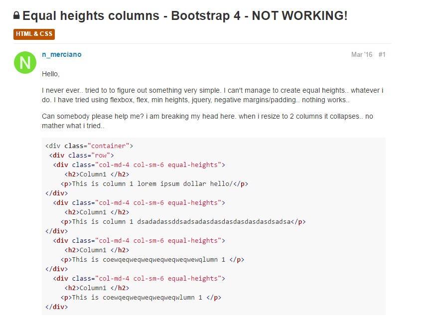  Trouble with a heights of the Bootstrap columns